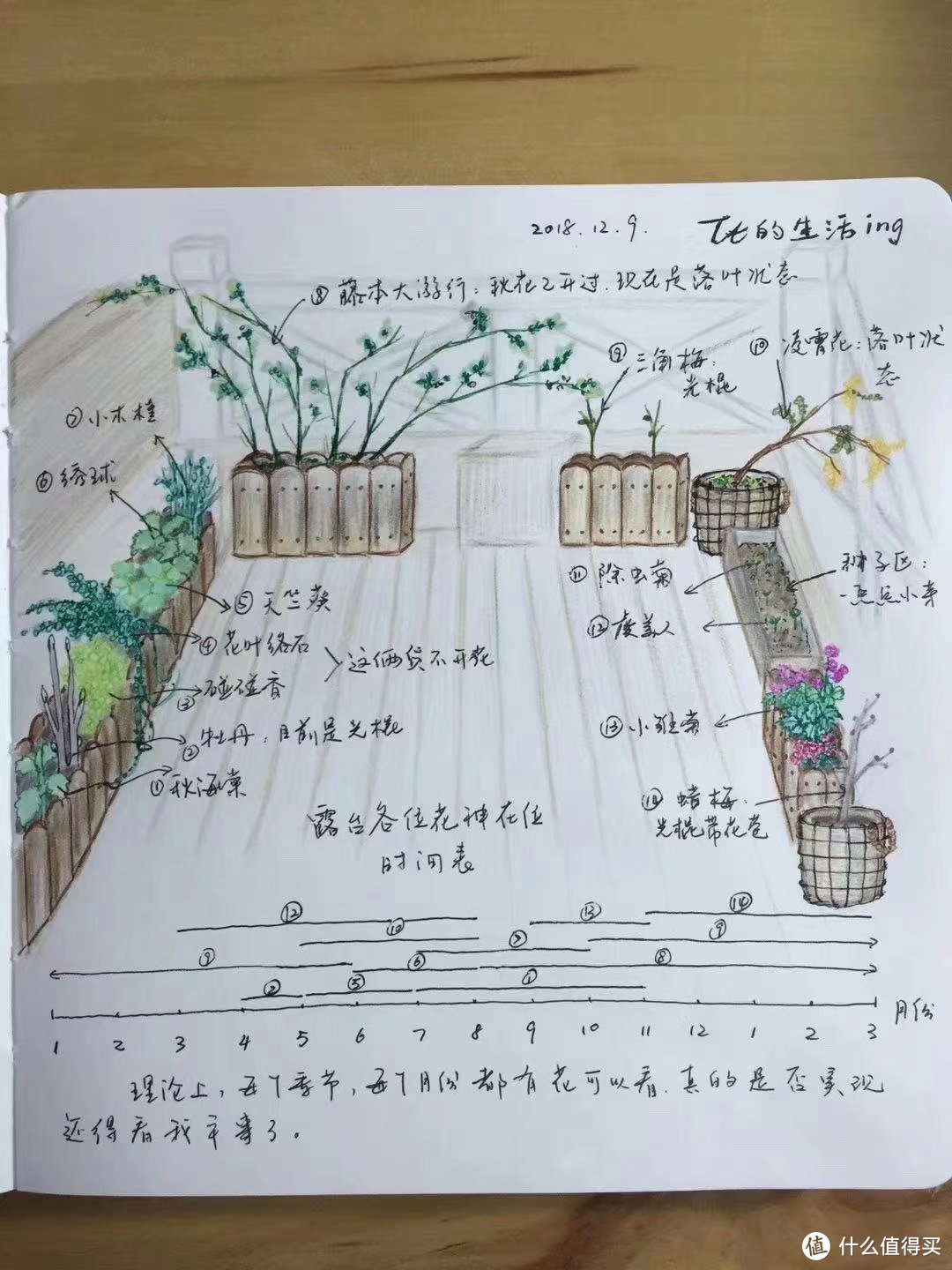 露台花园是怎么打造的 露台花园怎么种植花草