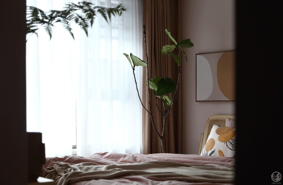 选对卧室植物,营造天然“氧吧”,附省心养护指南~